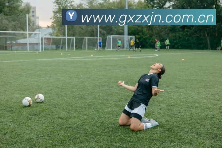 kaiyun体育官网登录平台生态图